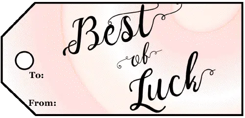 Best Of Luck Champagne Gift Tag gift tag