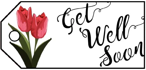 Get Well Flowers Gift Tag gift tag