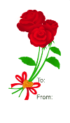 Roses (white background)