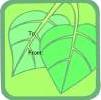 Green Leaves